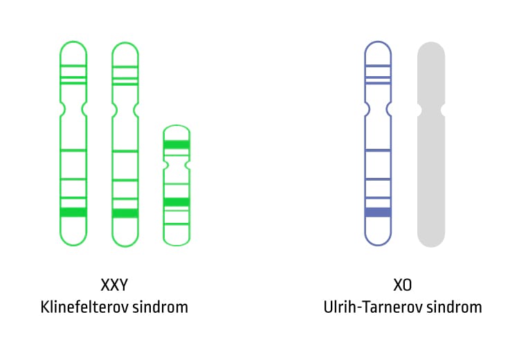 Informații despre anomaliile cromozomiale X/Y